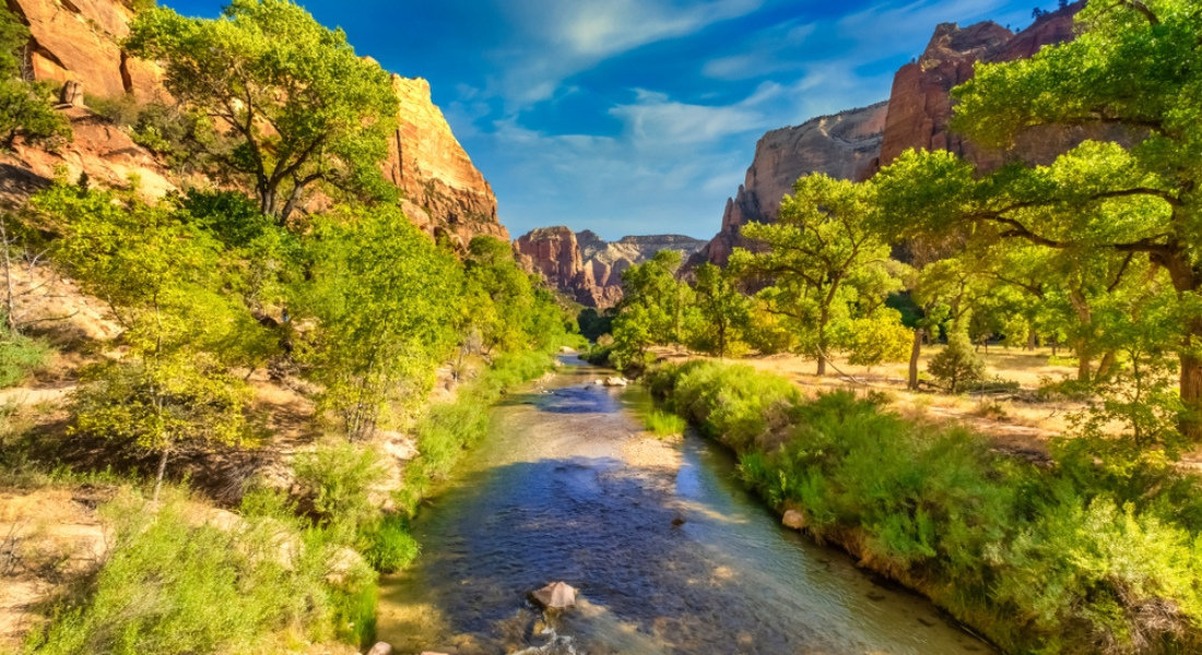 Shutterstock_1571581924 quoi voir parc de zion
