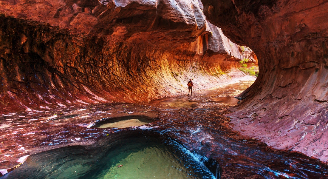 null what to see zion park