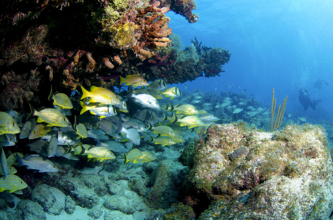 Key Largo