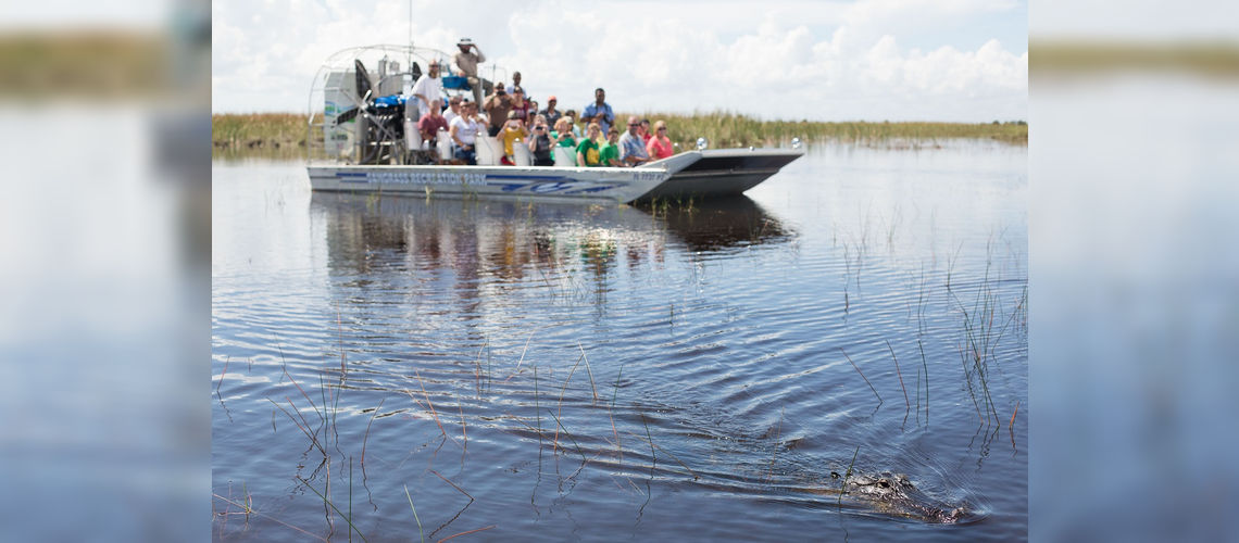 Safari aux alligators