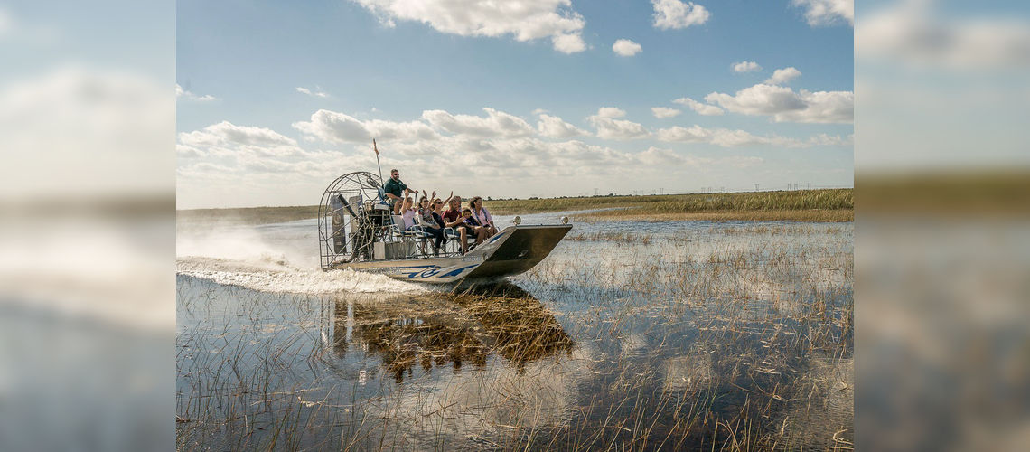 Safari d'observation aux alligators