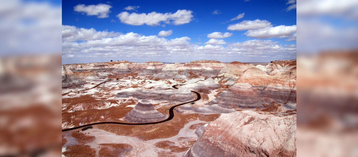 Petrified Forest, Blue Mesa