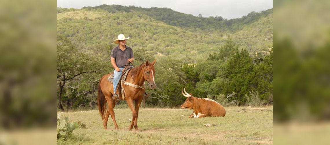 © Dixie Dude Ranch, sur le domaine