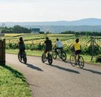 À vélo sur l'île d'Orléans, QC
