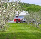 Ferme sur l'Ile d'Orléans, QC