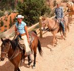 Randonnée à dos de cheval