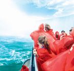 Croisiere au pied des chutes