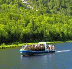 Croisi&egrave;re sur la rivi&egrave;re Malbaie