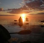 Kayak de mer avec les baleines, Tadoussac, Qc