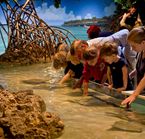 New England Aquarium - Boston, MA