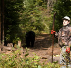 Safari photo ours noir