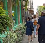 Montreal Discoveries