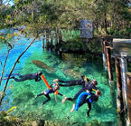 Swim with the Manatees