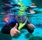 Swim with the Manatees