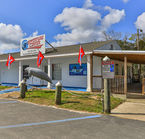 Swim with the Manatees