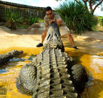 Safari d'observation aux alligators