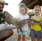 Safari d'observation aux alligators