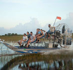 Safari privé aux alligators