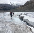 Crevasses on the glacier