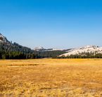 Tuolumne Meadows