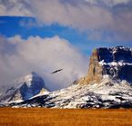 Going-to-the-Sun Road 