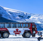 Excursion au glacier Athabasca