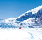 Excursion au glacier Athabasca