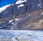 Excursion au glacier Athabasca