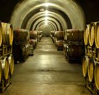 Vignoble de Miner Family sur la Silverado Trail