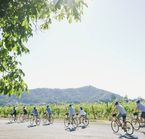 Tour guidé de Napa Valley en vélo