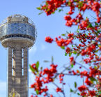 Dallas, Reunion Tower