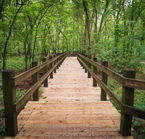 Near Joplin, George Washington Carver monument