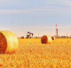 Midland, agriculture and industry