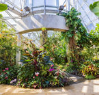 San Antonio, the botanical garden