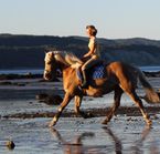 Horse riding on the banks of the St. Lawrence River