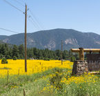 Flagstaff, un décor pittoresque