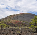 Près de Flagstaff, Sunset Crater Volcano National Monument