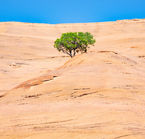 Gallup, Red Rock landscape