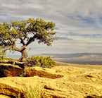 Gallup, desertic landscape