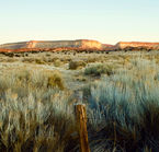 Gallup, White Cliffs