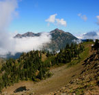 Olympic National Park