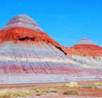 Petrified Forest