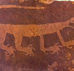 Petrified Forest, pétroglyphe