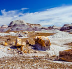 Petrified Forest, les badlands