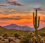 Near Phoenix, the desert