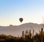 Tucson, Sonoran Desert