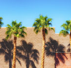 Yuma, a city bathed in sunshine