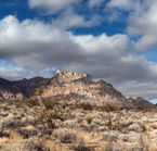 Désert de Mojave près de Bartow