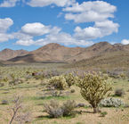 Enlarge photo 7