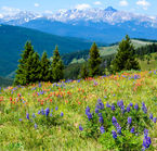 Shrine Pass, Colorado